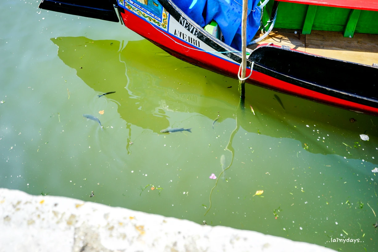 2339654D55CB674230CE82