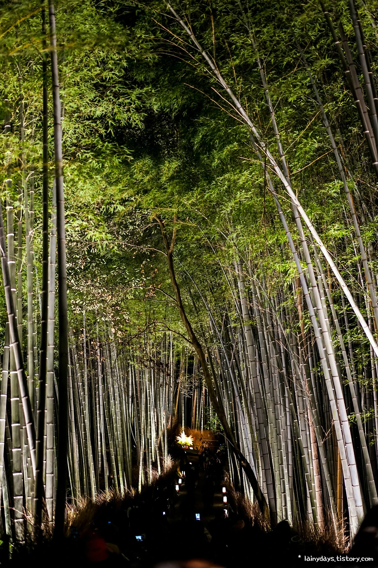 998E643359DAC52828663C