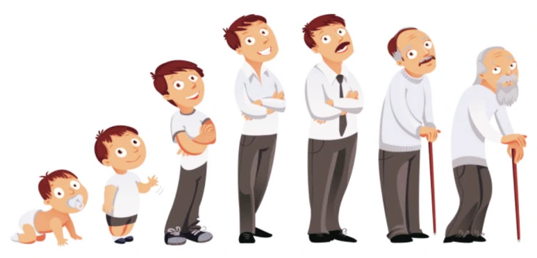 SE-2f0165d3-b4d6-4e5a-9978-099b32bf9528.png?type=w773