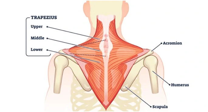 SE-e4165a2c-316c-460b-aded-e9acc652761c.png?type=w773