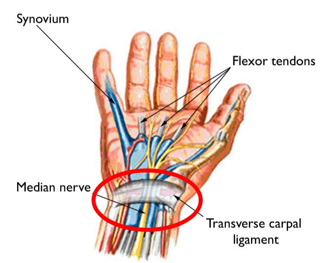 %EC%B0%902.png?type=w773