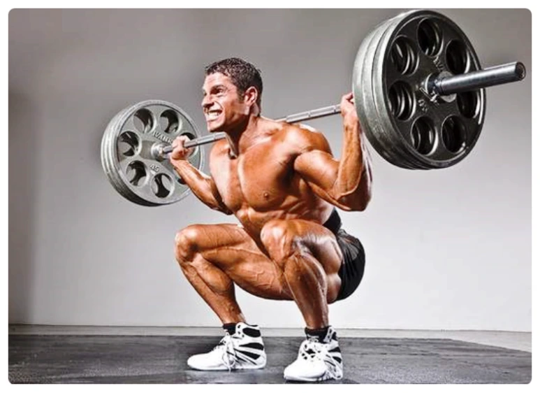 SE-1cc90624-ed7d-4f4d-8038-63a8a20aafb5.png?type=w773