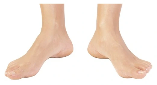 SE-3a7d1ce5-b349-4389-8d1a-34d3b23ad93e.png?type=w773