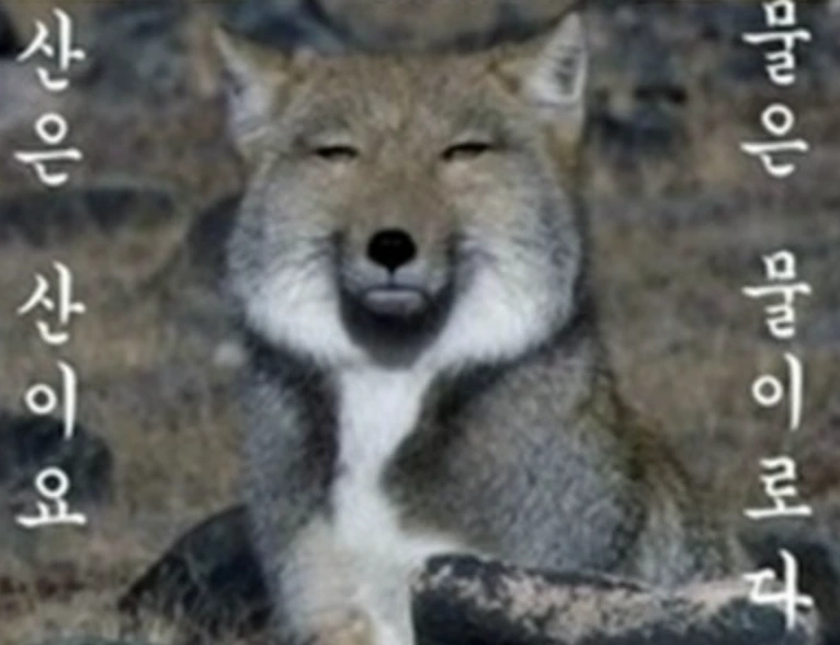 %EC%8A%A4%ED%81%AC%EB%A6%B0%EC%83%B7_2023-02-15_21.29.34.png?type=w773