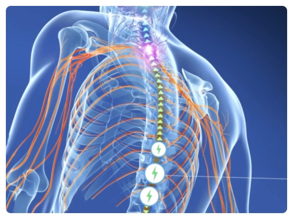 SE-8b27732c-7f70-4200-8abe-88cdf0b61247.png?type=w773