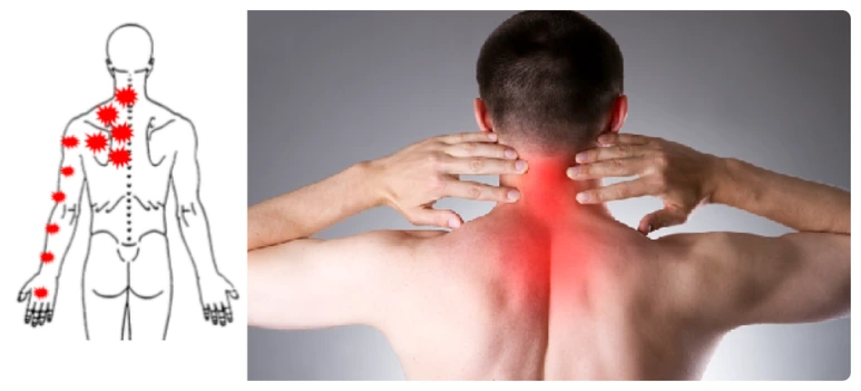 SE-c32ae68e-23a4-4e3e-b549-3650b431dca9.png?type=w773