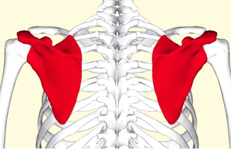 SE-4a33f1fd-4029-4639-af49-6d1db6401168.png?type=w773