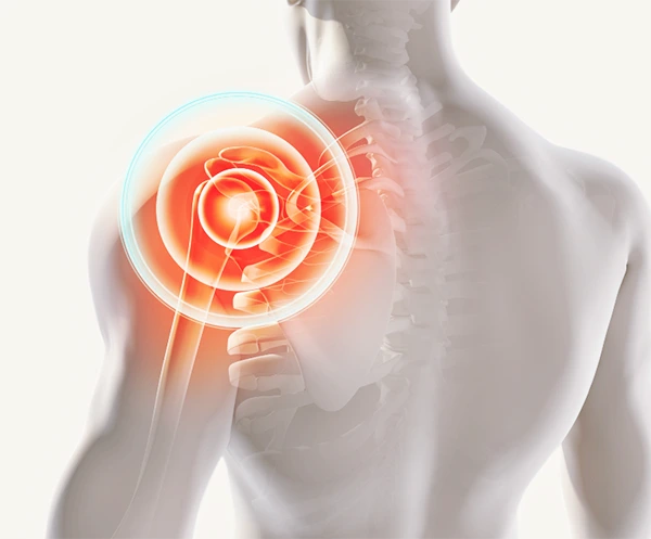 SE-ac0567c7-94f7-4b0b-b337-c6ec211b0272.png?type=w773