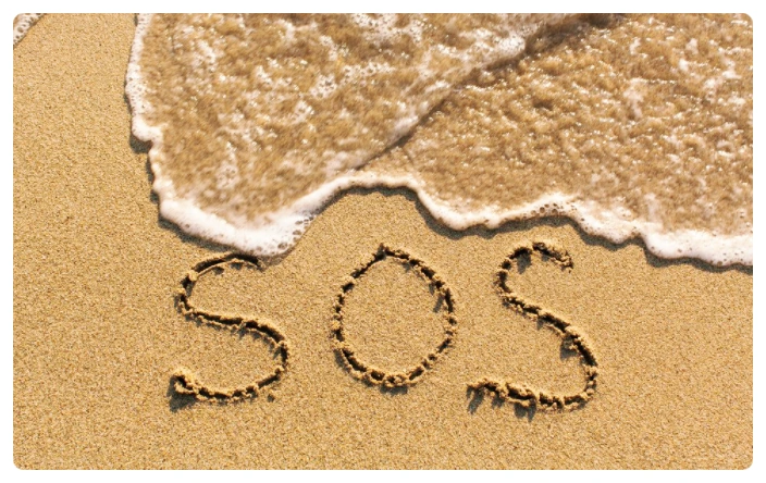 SE-8146dc12-5cf0-42df-98f2-38c798a48293.png?type=w773