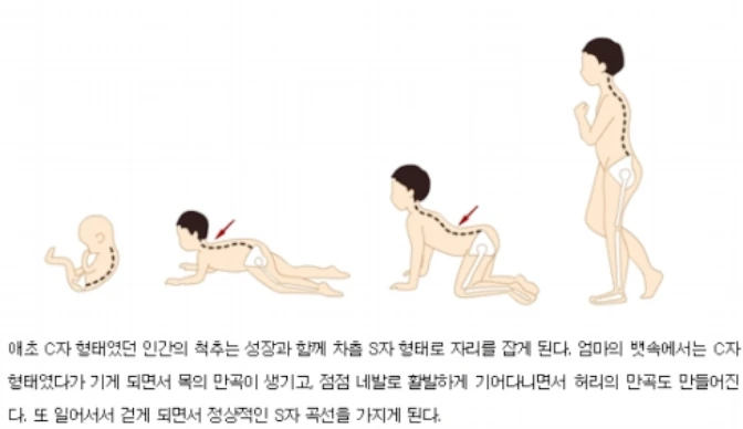 SE-011fd741-d1dd-4935-b45d-91a025ab29e7.png?type=w773