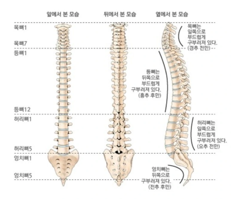 SE-0136b46c-46aa-4649-96ca-f66cf798aec4.png?type=w773