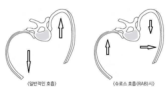 SE-dda03f86-3545-4b97-8372-803e36091fe4.png?type=w773