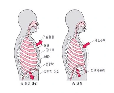 SE-6af1cb2a-ac95-4a60-86c1-320f19237f8e.png?type=w773
