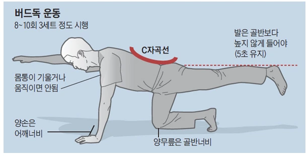 %EC%9A%94%ED%86%B5_%EC%9A%B4%EB%8F%99_%EA%B0%80%EC%9D%B4%EB%93%9C52.png?type=w773