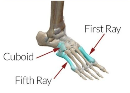 %EB%AC%B4%EC%A7%80%EC%99%B8%EB%B0%98%EC%A6%9D_%EC%9A%B4%EB%8F%99_%ED%8D%BC%EC%8A%A4%ED%8A%B8%EB%A0%88%EC%9D%B4.png?type=w773