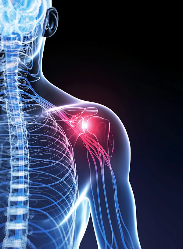 SE-8db4ad67-2fbe-4534-babb-826ec711df29.jpg?type=w773