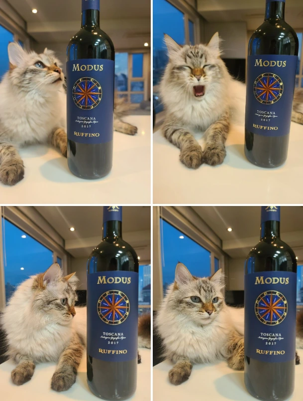 rEX5ydwa968_r_pJPBFnFyhcXZpbS3z08DGPg0-yvnq6QBZOt935HyR3N-7wBieRZkZO0V7HEWSI5V0PgNgu0YK6IZLj2Bw9RNvubuSR_-iaKybZMipx1DJXeuzsRZsyuKAAMchH-hQ-lXMyPA