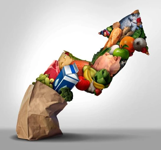 1ftfE00AI1OjsZxa1VNFr1ssCoVB92zak85udWOgSVZQQ1rTFZjVYrF0W7MVipnceHEbMTU6k6nj06dF9gr9WGOu1RS8K3ke_A-LBS8NNWUalvSg0O2EkbtDkqZy0k4ziGDke3wb3c_29Kxv2Rr4IhQCLzzTTlVx6asVGx1PRwi-nXdAzSRf4w9xO7P3Iw