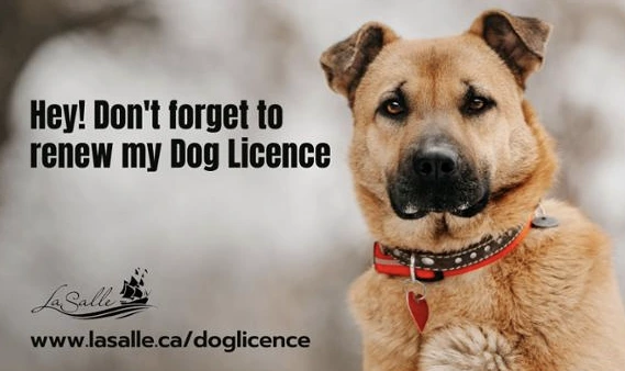 AD_4nXezuTPgvb8LNEd3ASNPI1zCS7mSUJq6BDhXSOoEyR21S5bTTIpbna_HN0Ofw0LBRQHGLcpNVnhK9qKN5XV7ScRhWd5gtRNd2MvI0Wd8jTy6yE4ehksnLwKDR8k2sUtkfGevuZIWj_fqYYUntZcjw1hp4r1k?key=4--ezmCAhc6qOavBiSQVbA