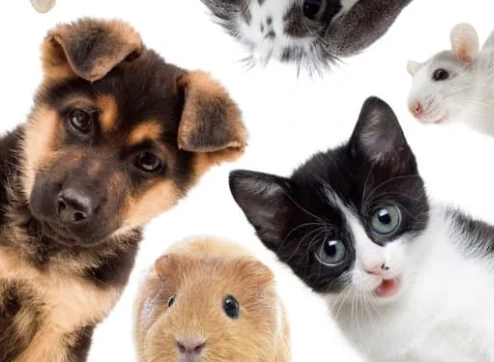 AD_4nXee7yr4KH_RFuEEE8Iz2RkUe_BhaDEdAI0Yn0GWhsqZxTMtBJT8W79uK6VSwNDkZW30zVEoJLWpM8NNu13EayJUUbCZCnFef1gpO9oqfVIU6w14MNcXK9M9meLcyn01wYgamwJYv8gujIZTp3wHo3RYo-hg?key=4--ezmCAhc6qOavBiSQVbA