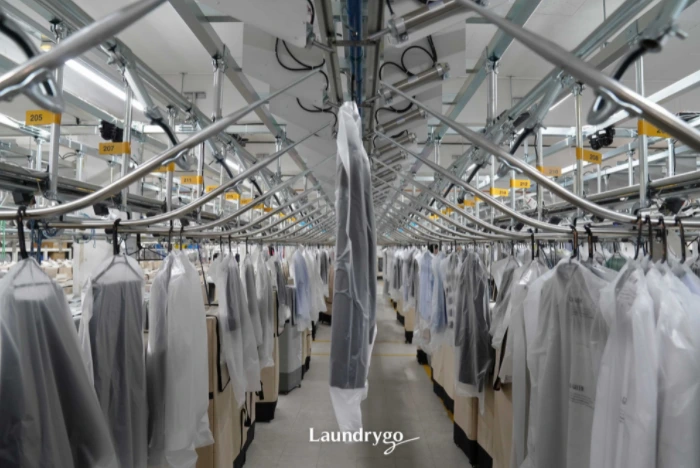 l4ChUxBBdY3RL1DI8NWFr9ntLntTsZVp7M69yXmExtF8MAR09YedbyzTeo9JE08EBYtPysoIQce_MHmG3UrUQ4wIYdEDJYWRBMq5G84AYe_eUVDTL9VjMIMr7_zLf9kyhe3iuSF_35USNuStkaBEdRzCOhRrb1xUBxdIgrNIA_y1iogsn_EY67L2iGw1Ug