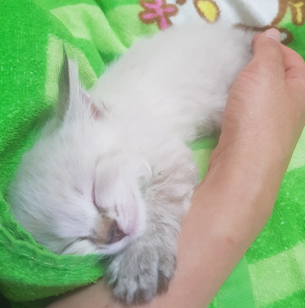 AD_4nXfjqSDZyTZblGcX-HGFbaP9rX6QdiHZe_3TocB1vb82_ebh1QmiSH1K8SG9A6WtTx0fySO5_TvNv-o42qfVtaRsO9qftXyk00Y0B_LCjFaZu19B8lKrKPzUAwIu3Ek1nD42VFHOmdYAO2fG2a527Fc0bqTU?key=4--ezmCAhc6qOavBiSQVbA