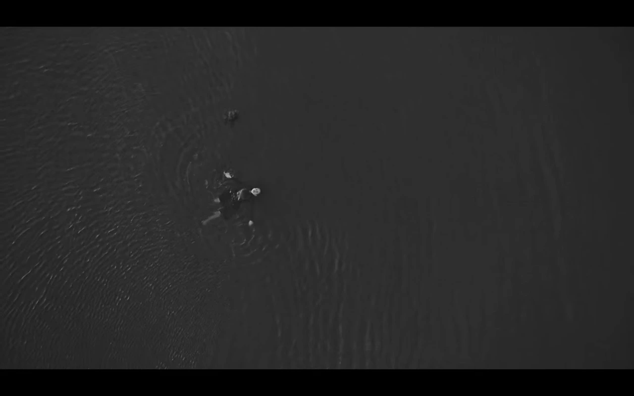 스크린샷 2020-10-11 오전 1.33.10.jpeg