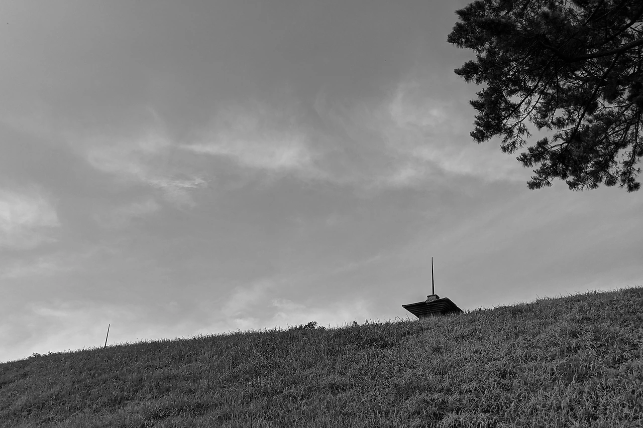 KakaoTalk_Photo_2021-07-12-09-02-23 018.jpeg