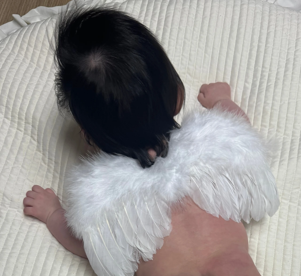 IMG_1147 복사본.jpeg