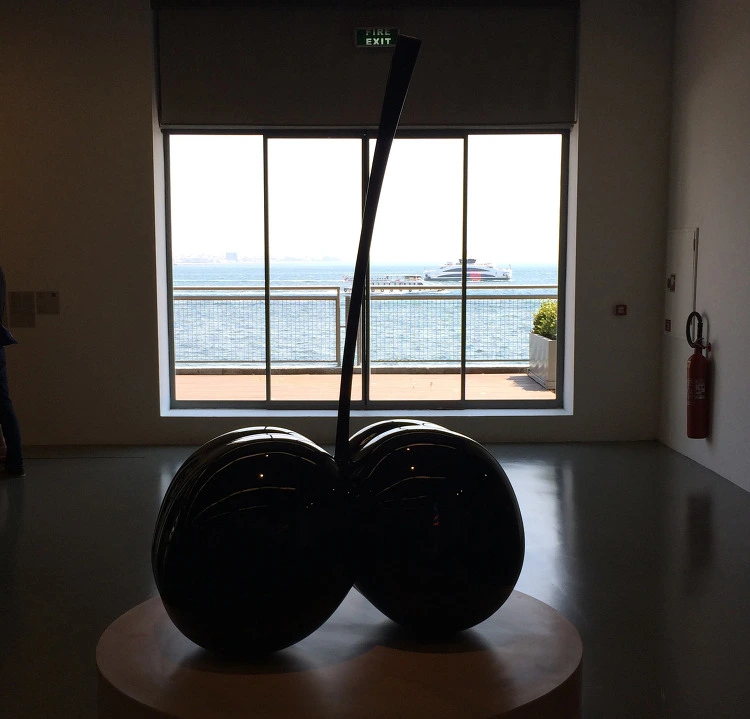 2231073655C305DC1B6476