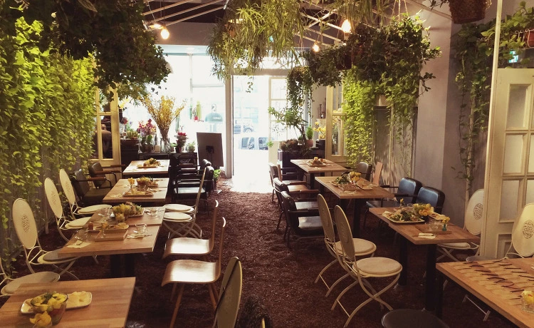 27152C5054C750642FA464