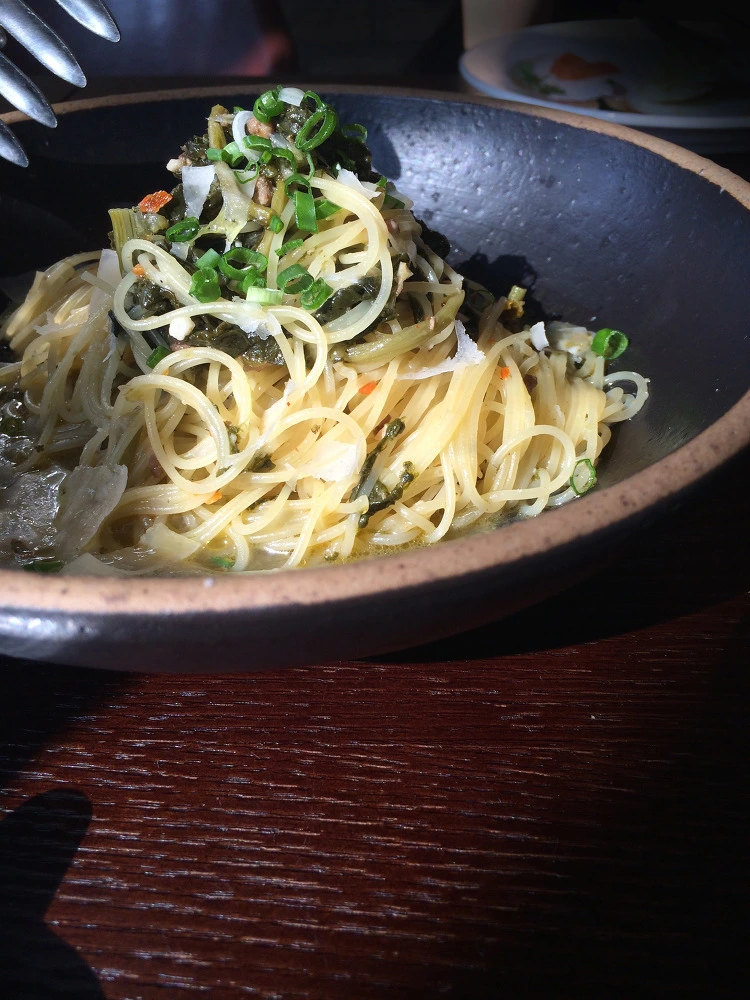 2411493A544385E91F2A67