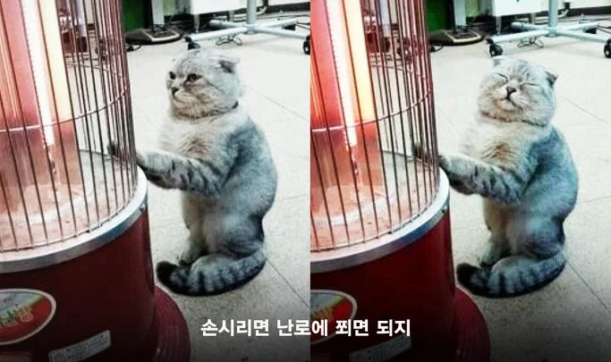 245AF13652EE454816E768