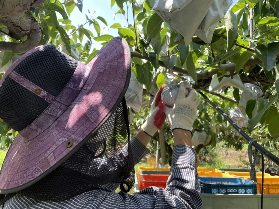 IMG_3812.jpg?type=w1