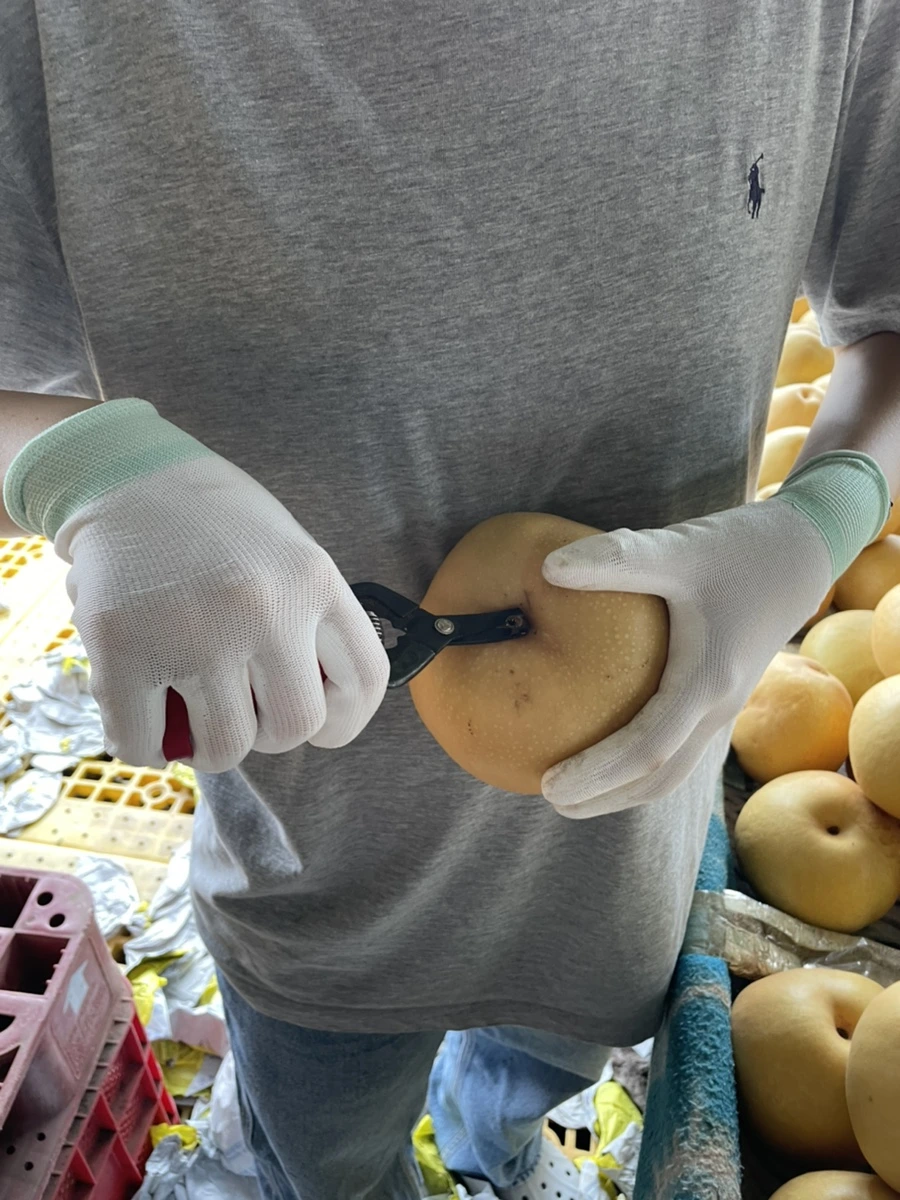 IMG_3777.jpg?type=w1