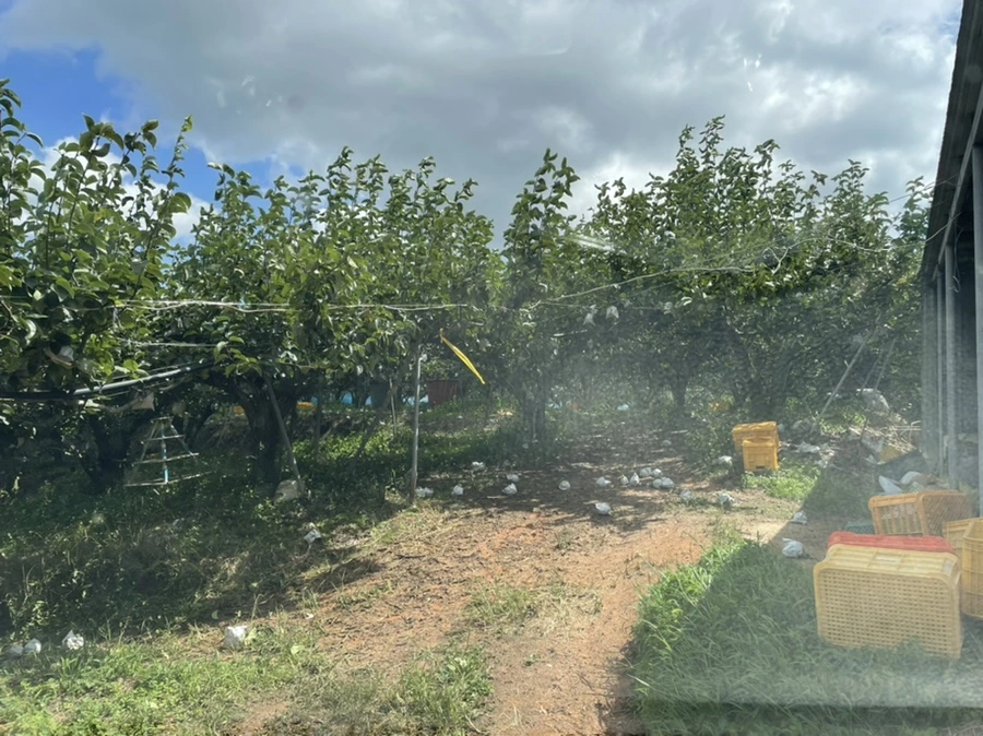 IMG_3908.jpg?type=w1