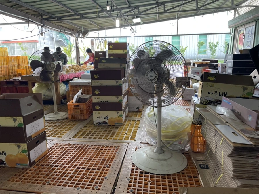 IMG_3901.jpg?type=w1