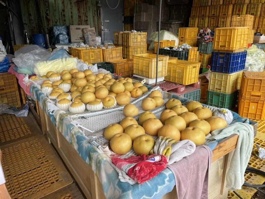 IMG_3774.jpg?type=w1