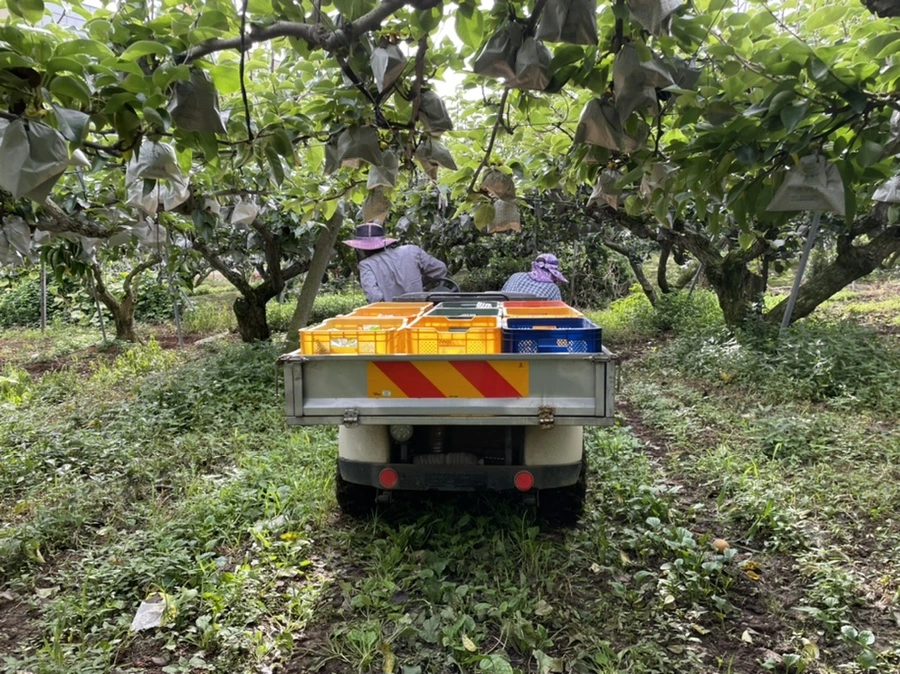 IMG_3827.jpg?type=w1