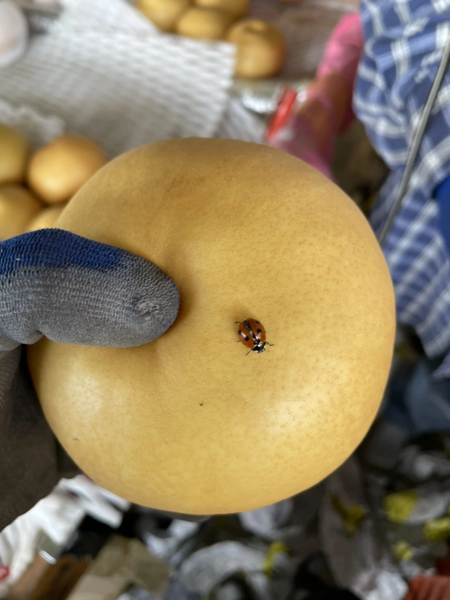 IMG_3863.jpg?type=w1