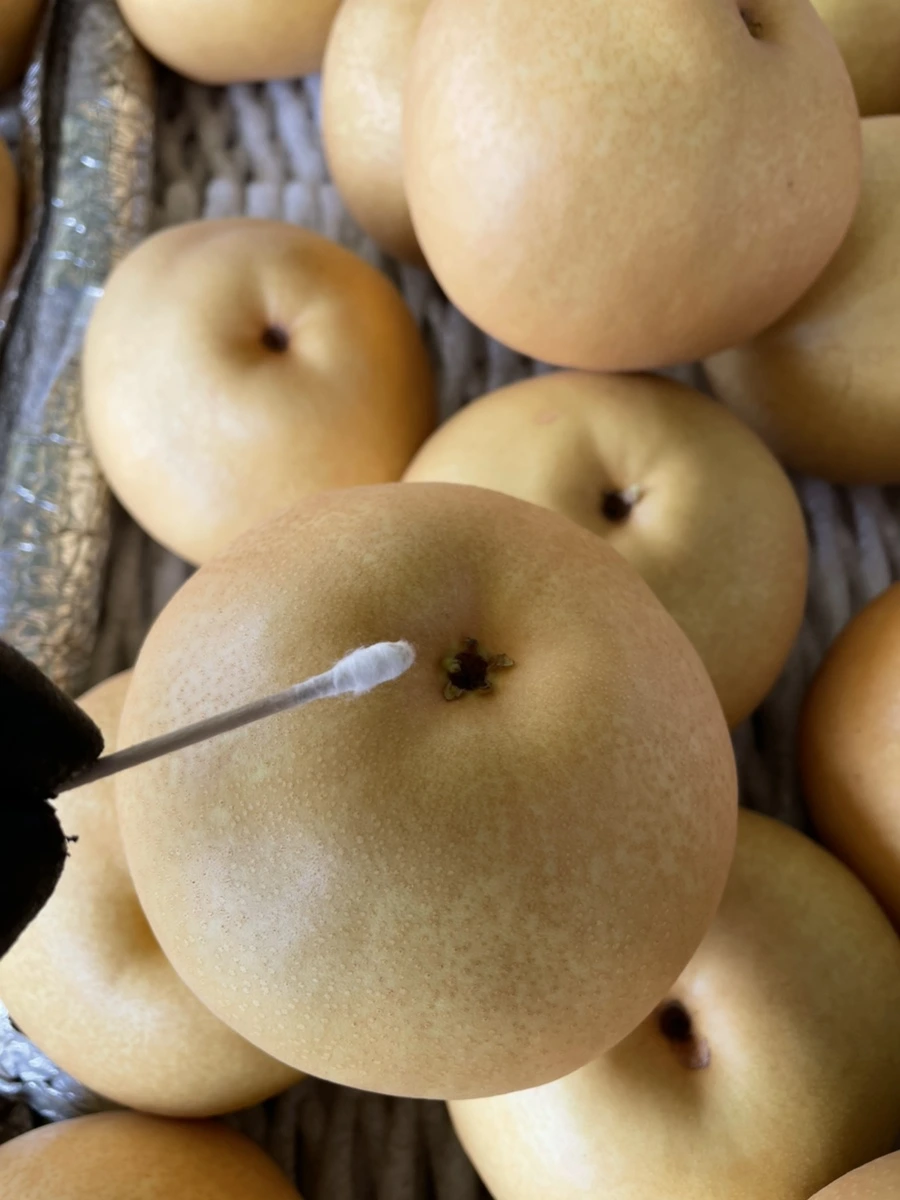 IMG_3806.jpg?type=w1