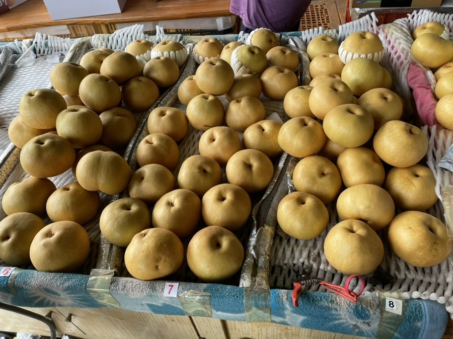 IMG_3776.jpg?type=w1