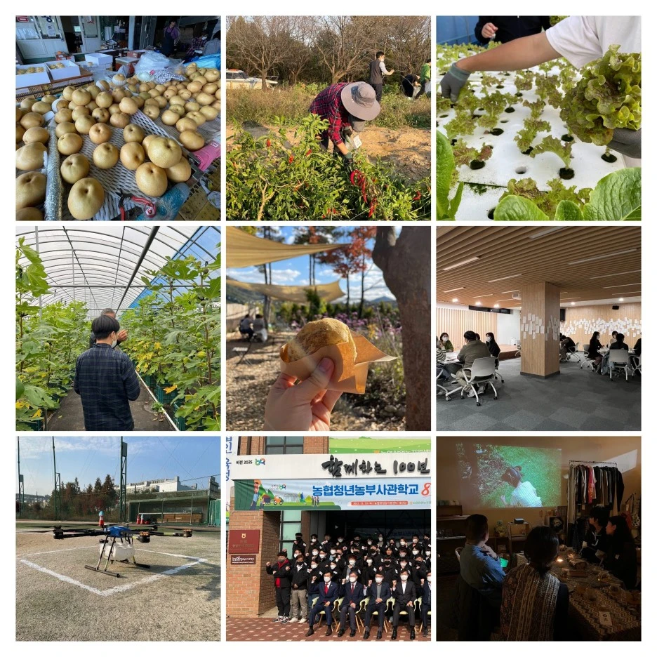 IMG_3915-COLLAGE.jpg?type=w1