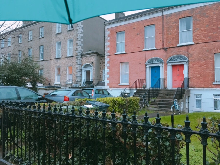 IMG_2497.jpg?type=w966