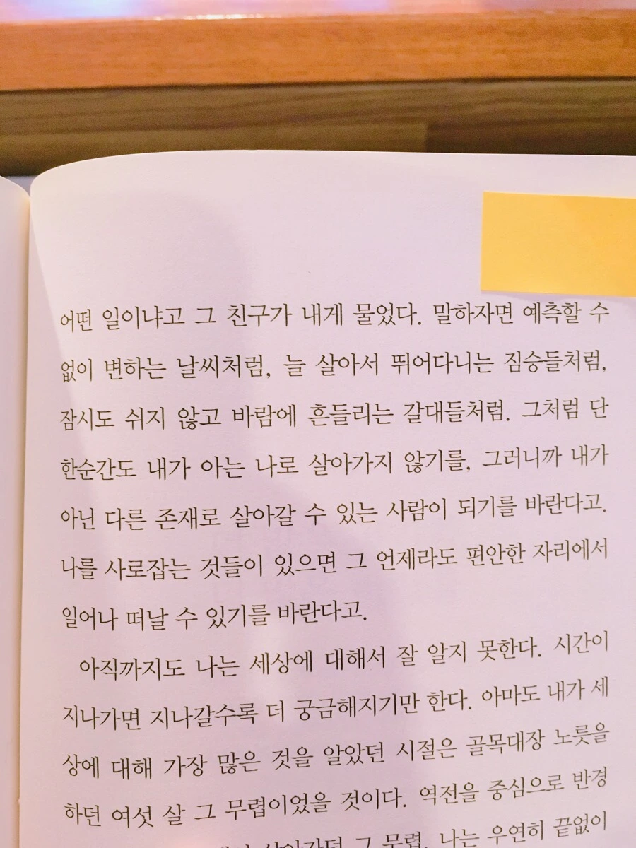 IMG_1785.jpg?type=w966