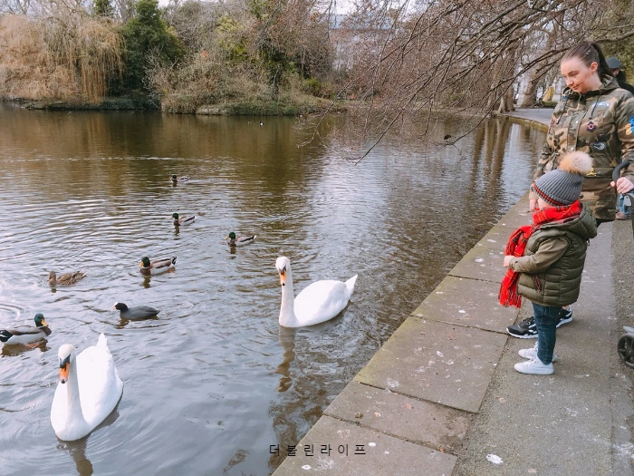 image_4626766511487437932739.jpg?type=w966