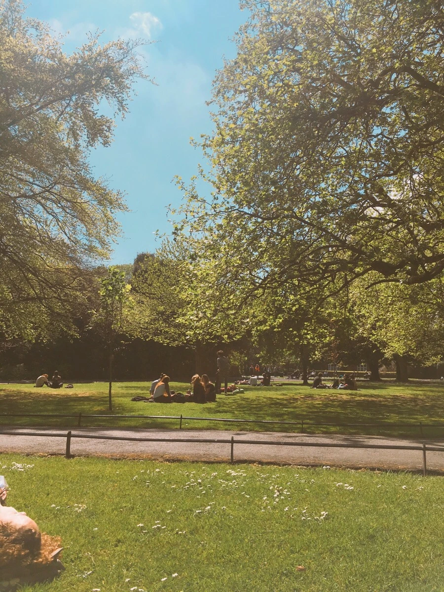 IMG_3791.jpg?type=w966