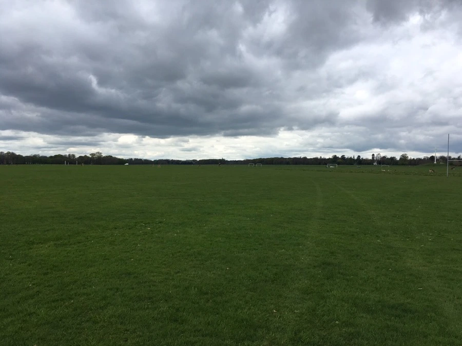 se3_image_2241665150.jpg?type=w966