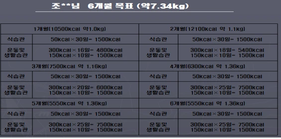 6개월간 체중조절 계획.bmp