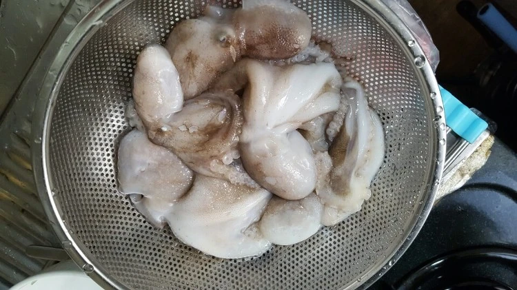 25283B3A58CB47EE2B9D50